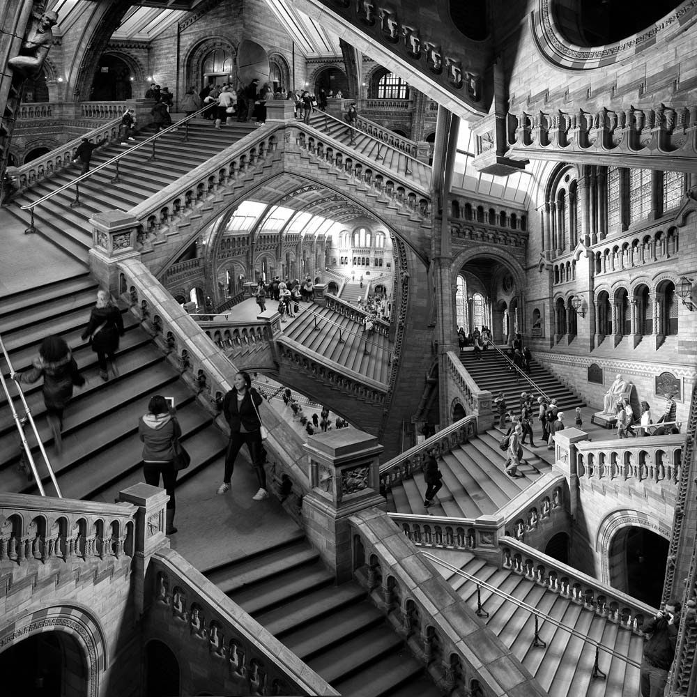 Ecsher by Richard Sercombe