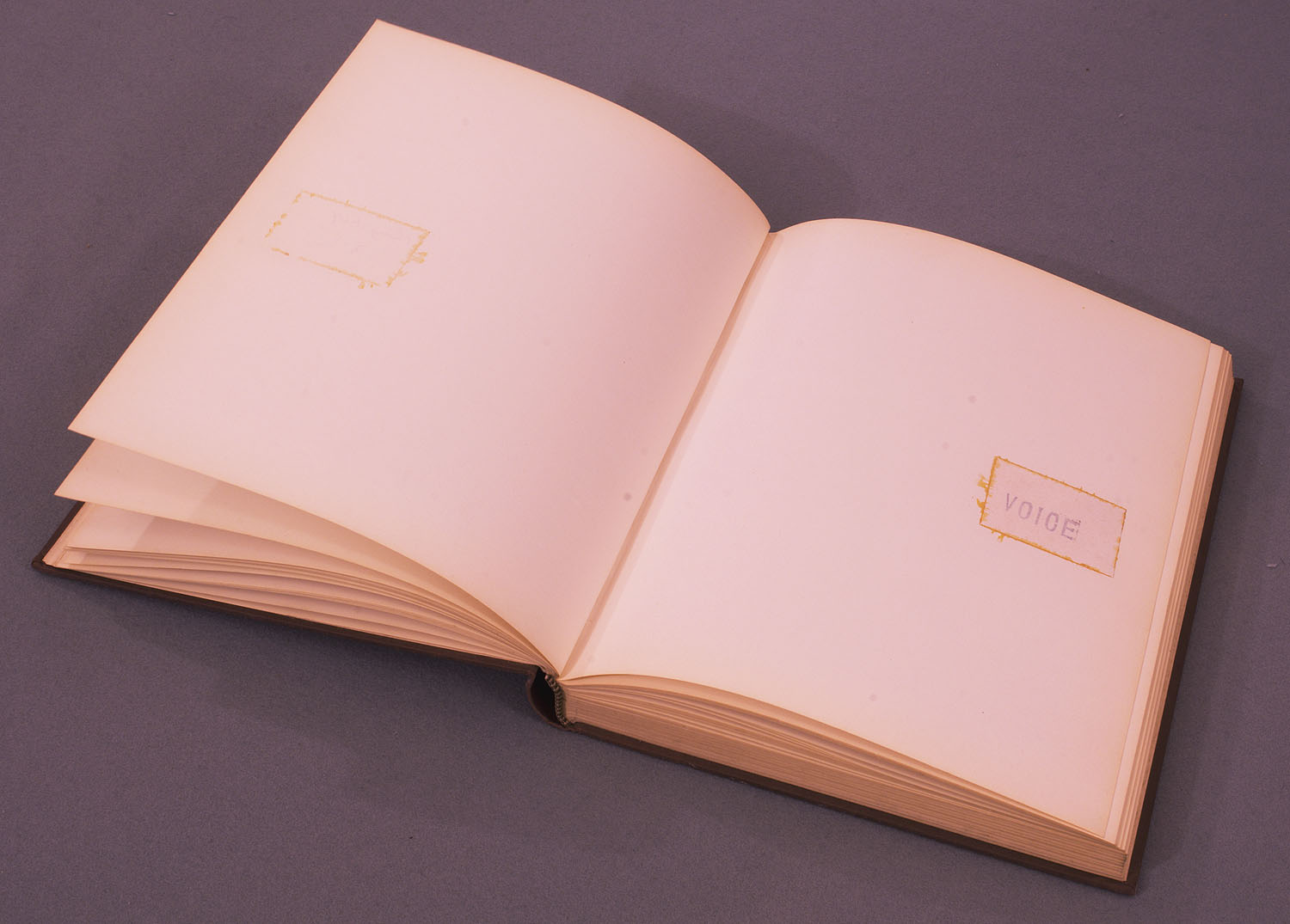 The Thing Itself book cover